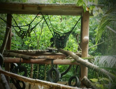 Djurräddningscenter på Sulawesi för djur från illegal handeln med exotiska djur