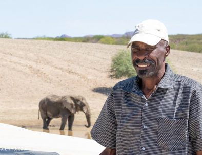 Ökenelefanter i Damaraland