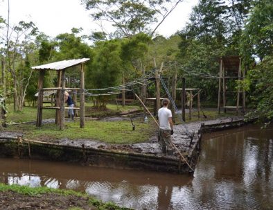 Djurräddningscenter i Amazonas regnskog