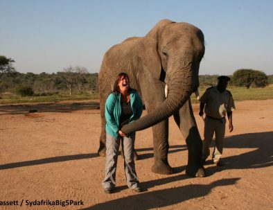 Big 5-reservat intill Krügerparken