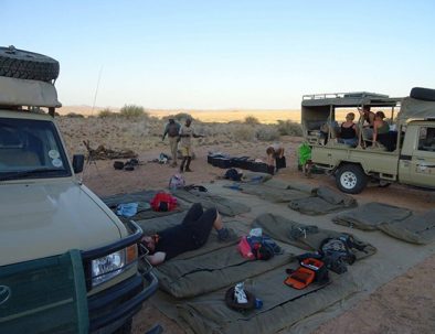 Ökenelefanter i Damaraland