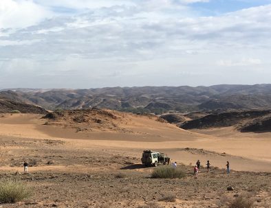 Ökenelefanter i Damaraland