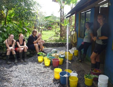 Djurräddningscenter i Amazonas regnskog