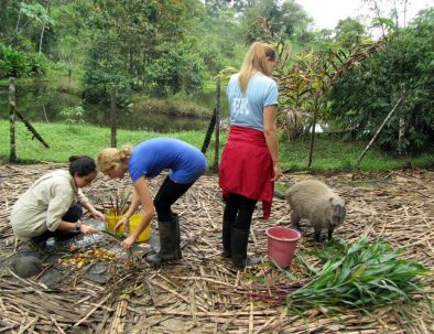 Djurräddningscenter i Amazonas regnskog