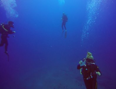 Valhajar dykning och marin forskning