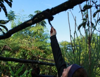 Djurräddningscenter i Amazonas regnskog