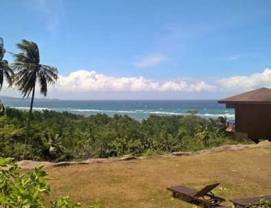 Djurräddningscenter på Sulawesi för djur från illegal handeln med exotiska djur