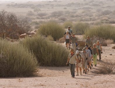 Ökenelefanter i Damaraland