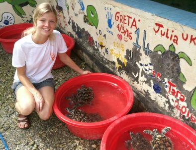 Bevarande av Havssköldpaddor på Bali