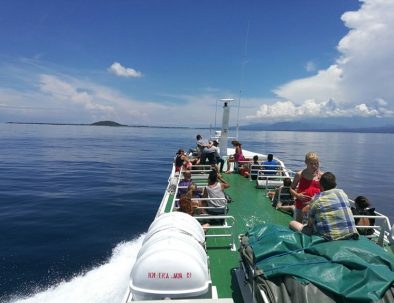 Bevarande av Havssköldpaddor på Bali