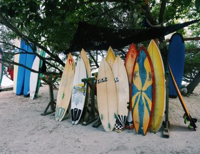 Bevarande av Havssköldpaddor på Bali