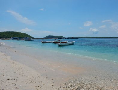 Bevarande av Havssköldpaddor på Bali