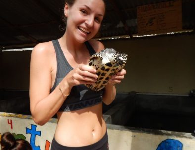 Bevarande av Havssköldpaddor på Bali
