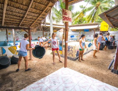 Bevarande av Havssköldpaddor på Bali