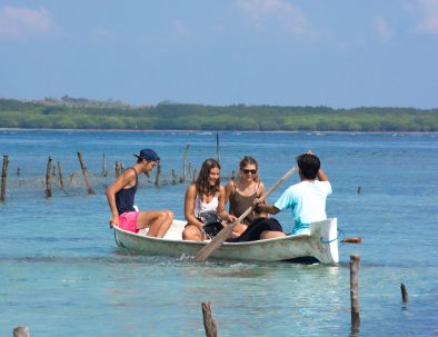 Bevarande av Havssköldpaddor på Bali