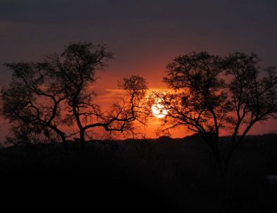 Big 5-naturreservat vid Victoriafallen