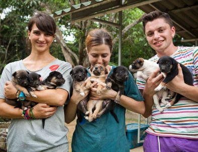 Räddningscenter vilda djur i underbara Thailand