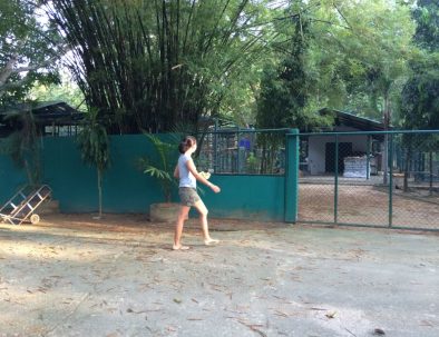 Räddningscenter vilda djur i underbara Thailand