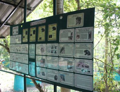 Räddningscenter vilda djur i underbara Thailand