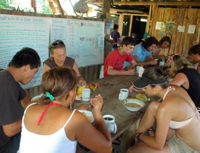 Havssköldpaddor i vackra Costa Rica