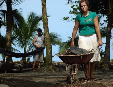 Havssköldpaddor i vackra Costa Rica