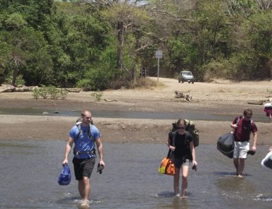 Havssköldpaddor i vackra Costa Rica