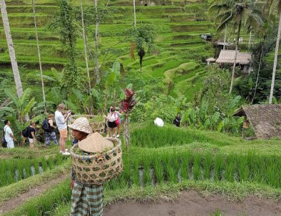 Engelskundervisning för barn mellan 7–11 år på Bali