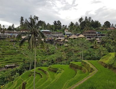 Engelskundervisning för barn mellan 7–11 år på Bali