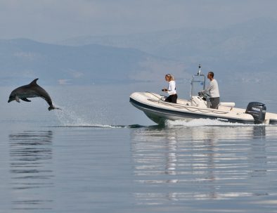 Delfinexpedition och marin forskning i Medelhavet