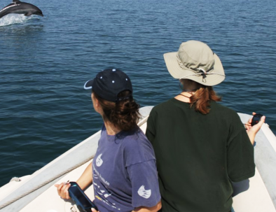 Delfinexpedition och marin forskning i Medelhavet