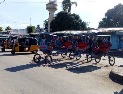 Djur, natur och samhällsprojekt i härliga Madagaskar