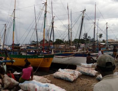 Djur, natur och samhällsprojekt i härliga Madagaskar