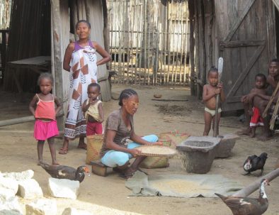 Djur, natur och samhällsprojekt i härliga Madagaskar