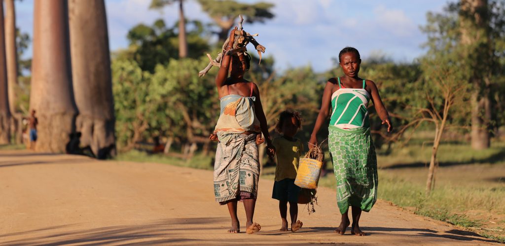 Djur, natur och samhällsprojekt i härliga Madagaskar