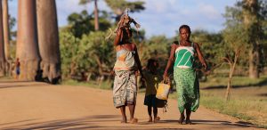 Djur, natur och samhällsprojekt i härliga Madagaskar