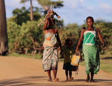 Djur, natur och samhällsprojekt i härliga Madagaskar