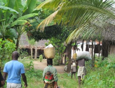 Djur, natur och samhällsprojekt i härliga Madagaskar