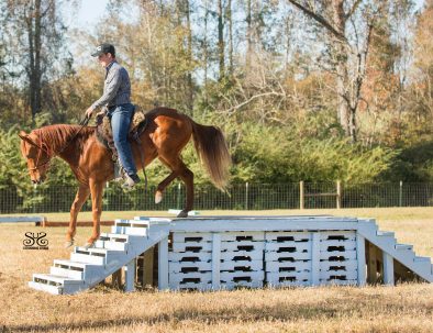 Hästranch i Mississippi med djurterapi för barn