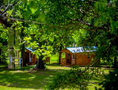 Hästranch i Mississippi med djurterapi för barn