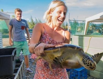 Rehabiliteringscenter för havssköldpaddor på Stora Barriärrevet