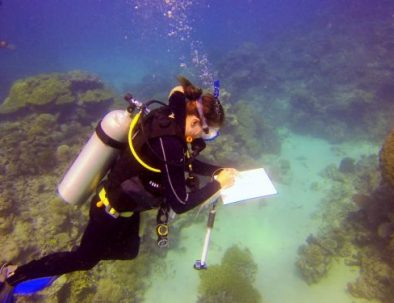 Dykäventyr och marin forskning på Stora Barriärrevet
