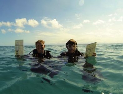 Dykäventyr och marin forskning på Stora Barriärrevet