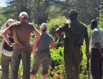 Naturreservat med noshörningar i östra Afrika