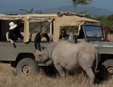 Naturreservat med noshörningar i östra Afrika