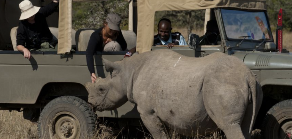 Naturreservat med noshörningar i östra Afrika