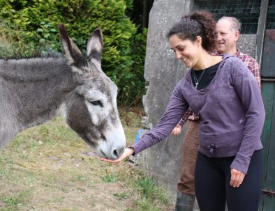 Hållbarhets- och samhällsprojekt i Cork på Irland