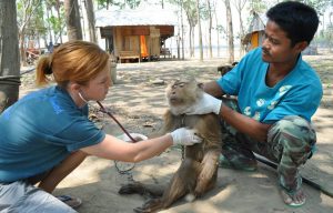 Räddningscenter vilda djur i underbara Thailand