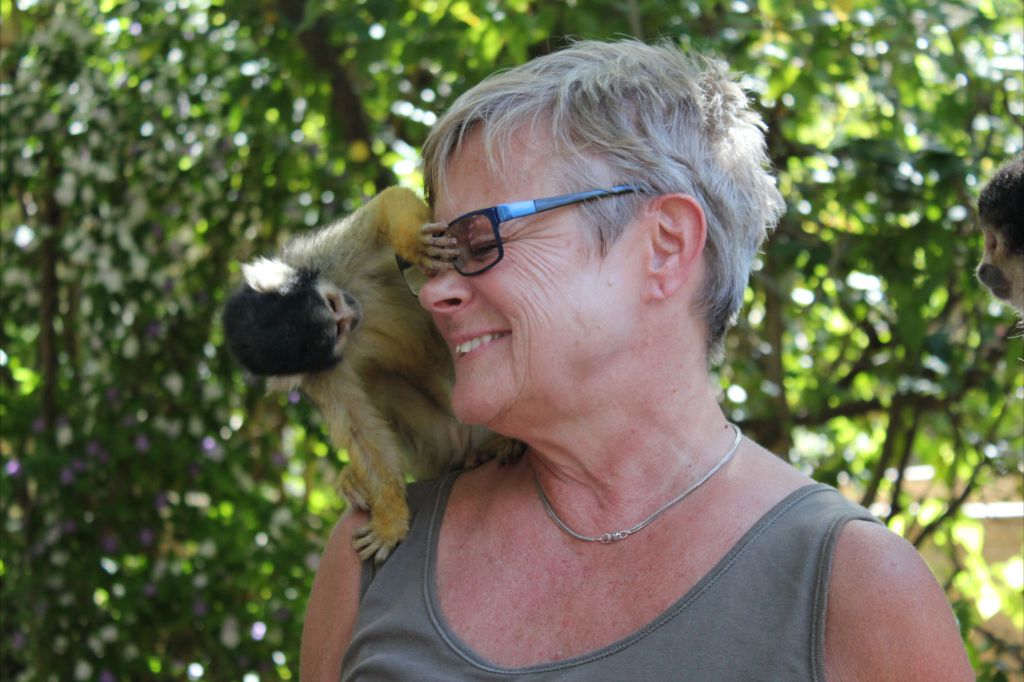 Monkey Rutt Seniorresor - Volontärresor