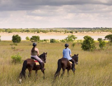 Räddningscenter för hästar med hästsafari i Moçambique