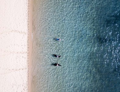 Räddningscenter för hästar med hästsafari i Moçambique